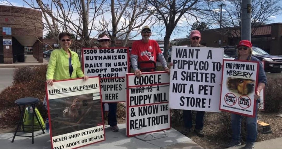 2020 Rallies Against Puppy Mill Sales